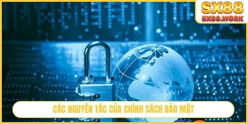 Các nguyên tắc của chính sách bảo mật
