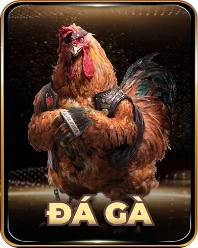 đá gà