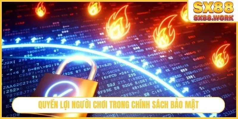 Quyền lợi người chơi trong chính sách bảo mật
