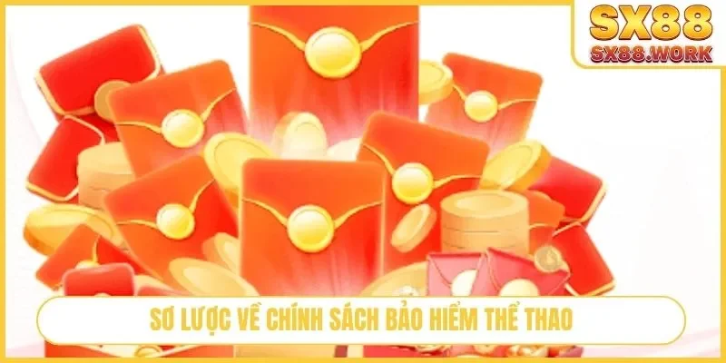 Sơ lược về chính sách bảo hiểm thể thao